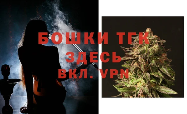спиды Аркадак