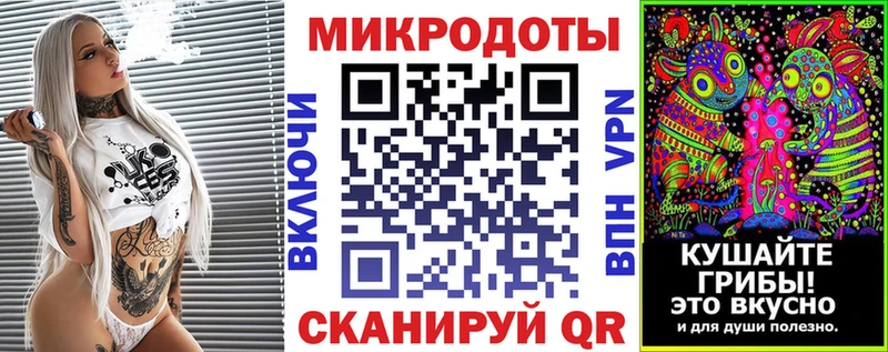 закладка Новоузенск Псилоцибиновые грибы MAGIC MUSHROOMS